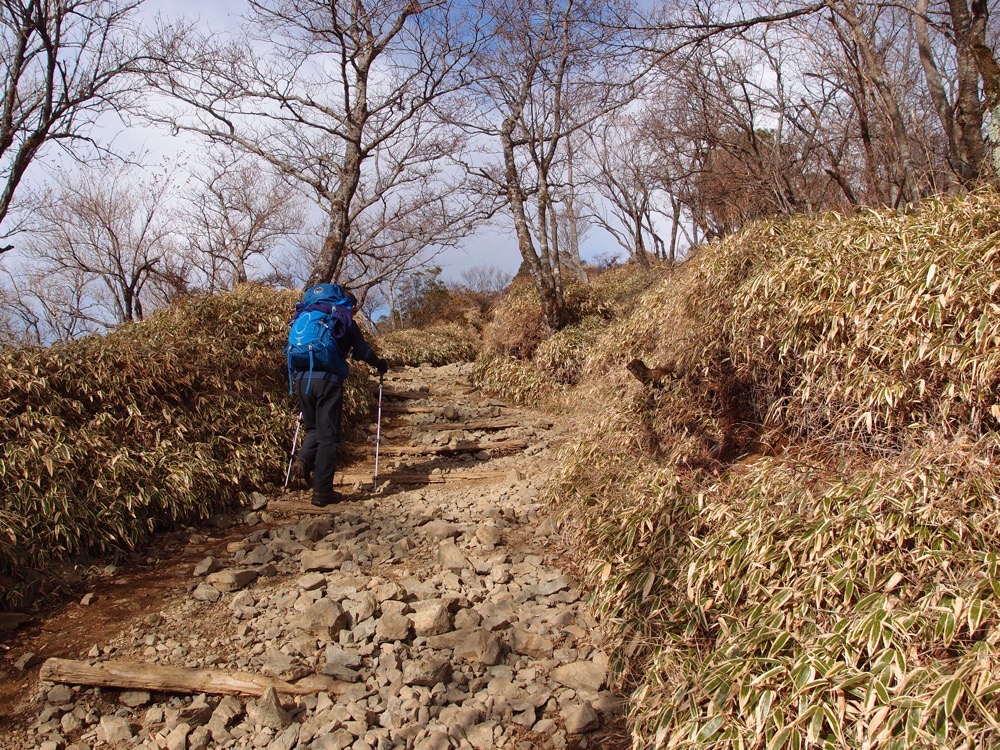 笹に囲まれた岩がちな登山道を、ストックを使って歩く登山者の後ろ姿
