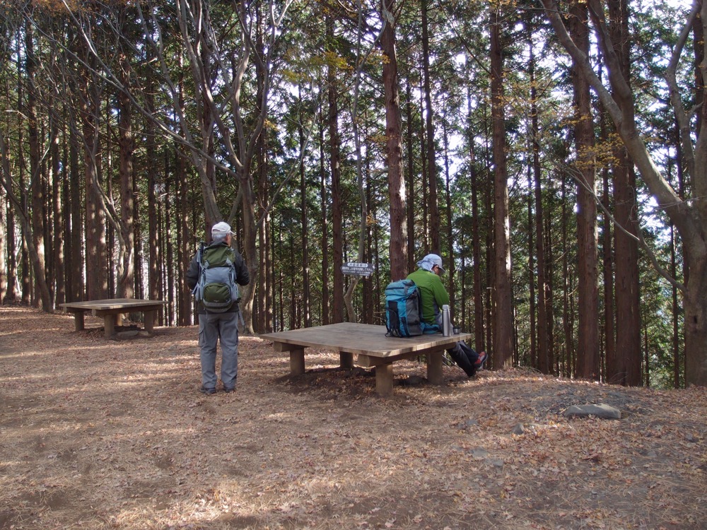 杉林の中に置かれた木製のベンチで休憩する登山者たち