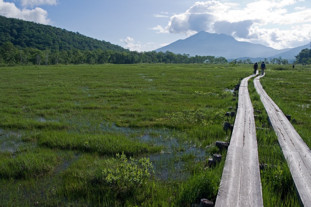 夏の尾瀬ヶ原。湿原を貫く木道と、背景の燧ヶ岳