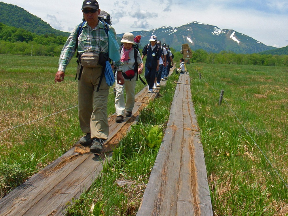 厚手で薄い色の長袖を着て尾瀬の木道を歩く登山者たち