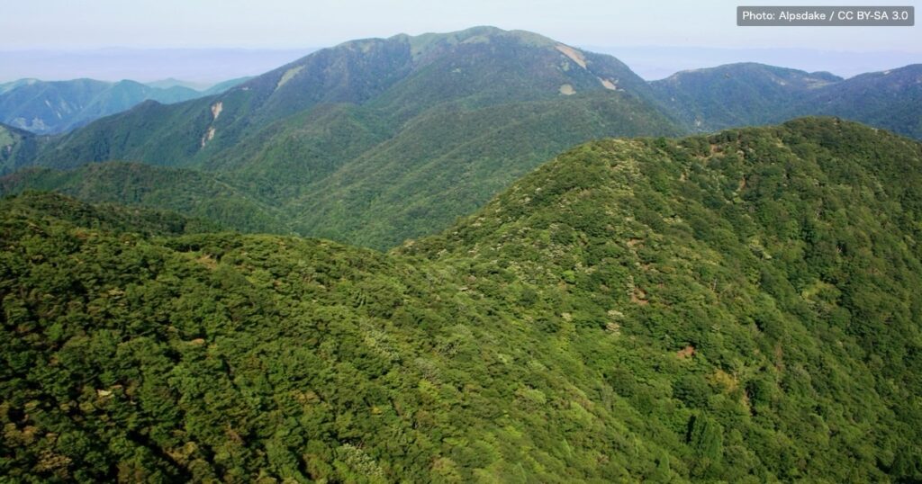 夏の鈴鹿山脈。緑の濃い樹林におおわれた稜線