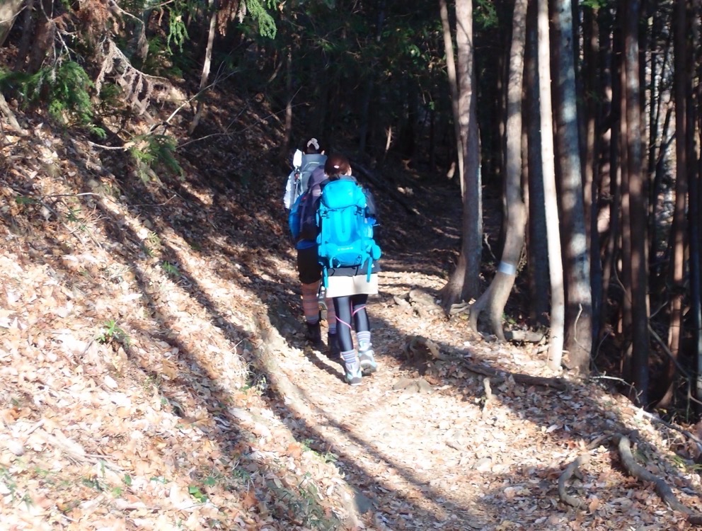 長袖・長ズボン姿で樹林帯の登山道を歩く登山者2人の後ろ姿
